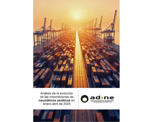 Análisis de la evolución de las importaciones de neumáticos asiáticos en enero-abril 2025.