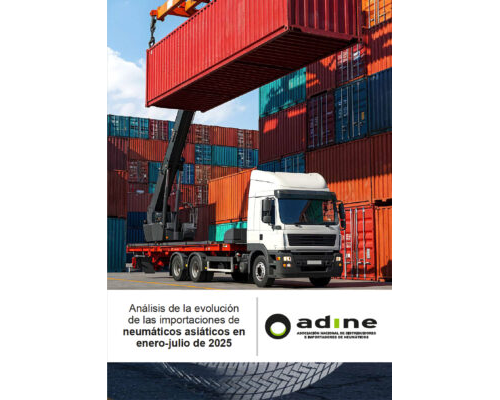 Análisis de la evolución de las importaciones de neumáticos asiáticos en enero-julio 2025.