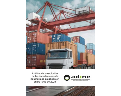 Análisis de la evolución de las importaciones de neumáticos asiáticos en enero-junio 2025.
