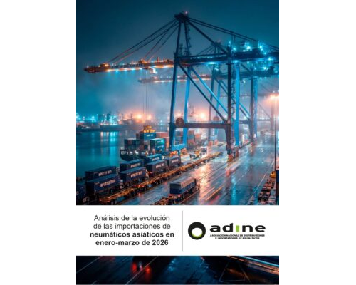 Análisis de la evolución de las importaciones de neumáticos asiáticos en enero-marzo 2026.