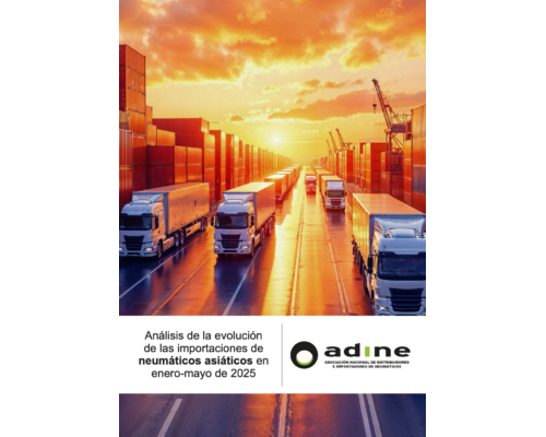 Análisis de la evolución de las importaciones de neumáticos asiáticos en enero-mayo 2025.