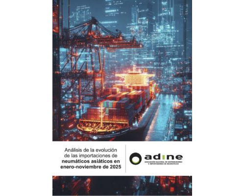 Análisis de la evolución de las importaciones de neumáticos asiáticos en enero-noviembre 2025.