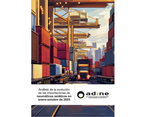 Análisis de la evolución de las importaciones de neumáticos asiáticos en enero-octubre 2025.