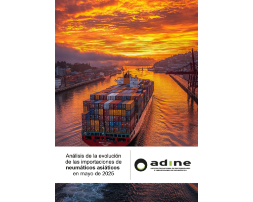 Análisis de la evolución de las importaciones de neumáticos asiáticos de mayo 2025