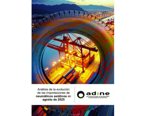 Análisis de la evolución de las importaciones de neumáticos asiáticos de agosto 2025