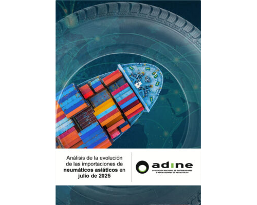 Análisis de la evolución de las importaciones de neumáticos asiáticos de julio 2025