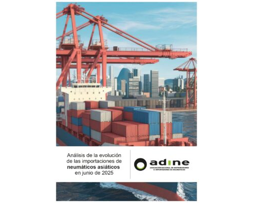 Análisis de la evolución de las importaciones de neumáticos asiáticos de junio 2025