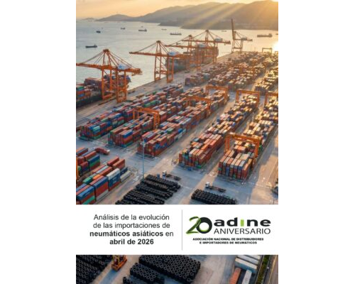 Análisis de la evolución de las importaciones de neumáticos asiáticos de abril 2026