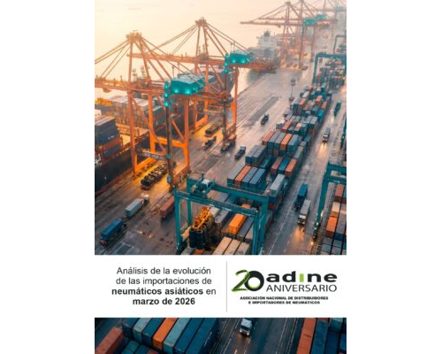 Análisis de la evolución de las importaciones de neumáticos asiáticos de marzo 2026