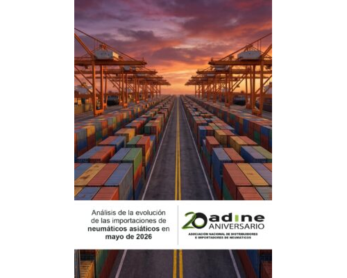Análisis de la evolución de las importaciones de neumáticos asiáticos de mayo 2026