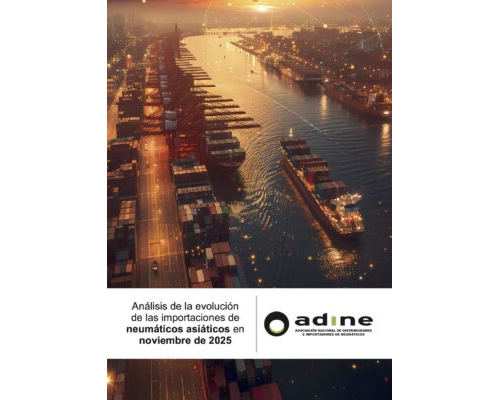 Análisis de la evolución de las importaciones de neumáticos asiáticos de noviembre 2025