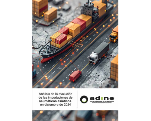 Análisis de la evolución de las importaciones de neumáticos asiáticos de Diciembre 2024