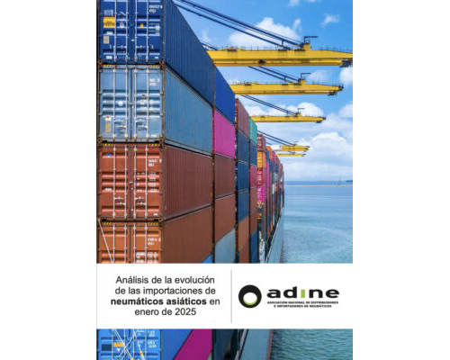 Análisis de la evolución de las importaciones de neumáticos asiáticos de Enero 2025