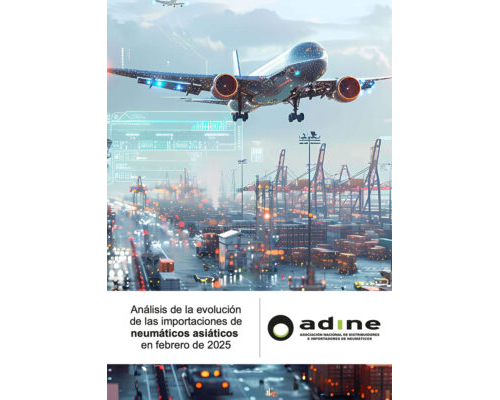 Análisis de la evolución de las importaciones de neumáticos asiáticos de febrero 2025