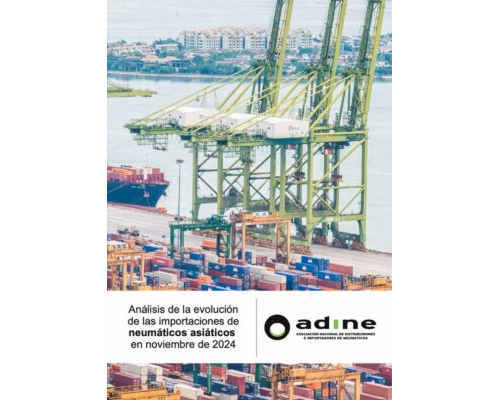 Análisis de la evolución de las importaciones de neumáticos asiáticos de Noviembre 2024