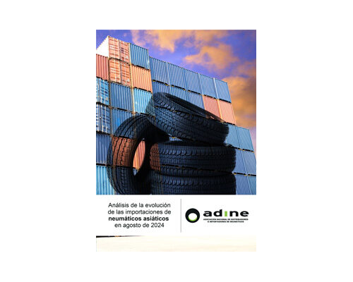 Análisis de la evolución de las importaciones de neumáticos asiáticos de Agosto 2024