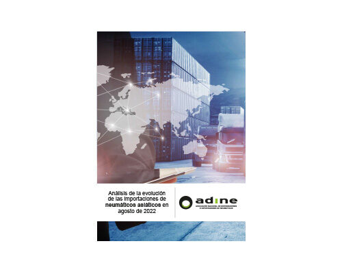 Análisis de la evolución de las importaciones de neumáticos asiáticos en Agosto 2022
