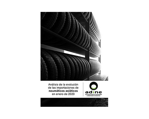 Análisis de la evolución de las importaciones de neumáticos asiáticos en Enero 2020