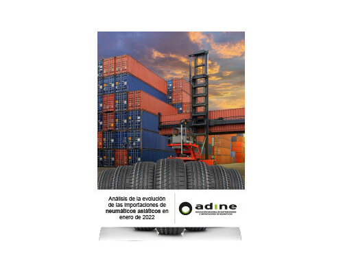 Análisis de la evolución de las importaciones de neumáticos asiáticos en Enero 2022