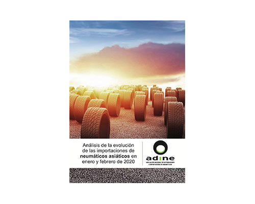 Análisis de la evolución de las importaciones de neumáticos asiáticos en Enero-Febrero 2020