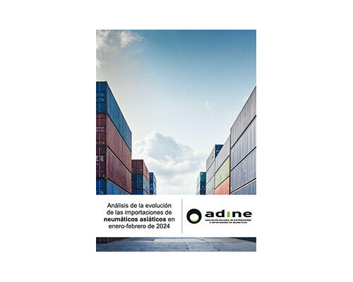Análisis de la evolución de las importaciones de neumáticos asiáticos de Enero-Febrero 2024