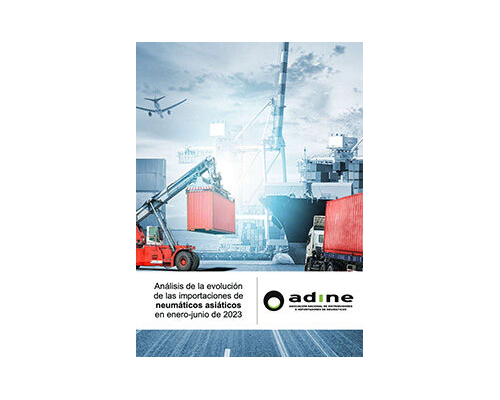 Análisis de la evolución de las importaciones de neumáticos asiáticos de Junio y Enero-Junio 2023