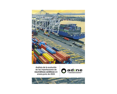 Análisis de la evolución de las importaciones de neumáticos asiáticos de Enero-Junio 2024