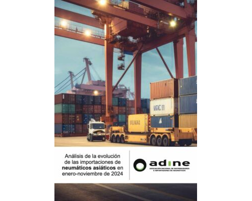 Análisis de la evolución de las importaciones de neumáticos asiáticos de Enero-Noviembre 2024