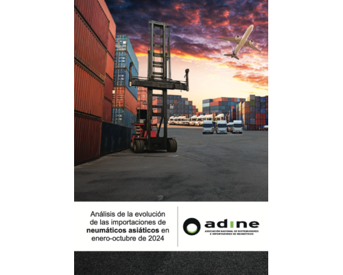 Análisis de la evolución de las importaciones de neumáticos asiáticos de Enero-Octubre 2024