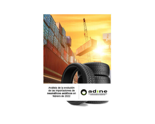 Análisis de la evolución de las importaciones de neumáticos asiáticos en Febrero 2022