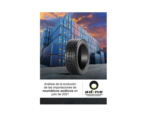 Análisis de la evolución de las importaciones de neumáticos asiáticos en Julio 2021