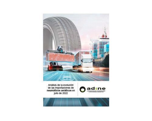 Análisis de la evolución de las importaciones de neumáticos asiáticos en Julio 2022