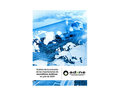 Análisis de la evolución de las importaciones de neumáticos asiáticos de Julio 2024