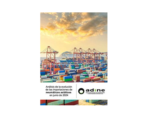 Análisis de la evolución de las importaciones de neumáticos asiáticos de Junio 2024