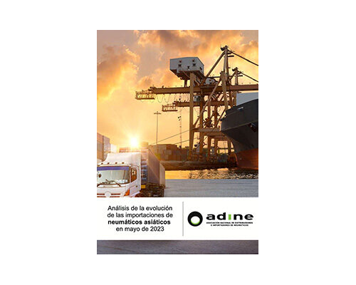 Análisis de la evolución de las importaciones de neumáticos asiáticos en Mayo 2023