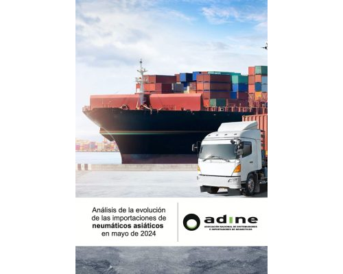 Análisis de la evolución de las importaciones de neumáticos asiáticos de Mayo 2024