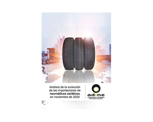 Análisis de la evolución de las importaciones de neumáticos asiáticos en Noviembre 2020